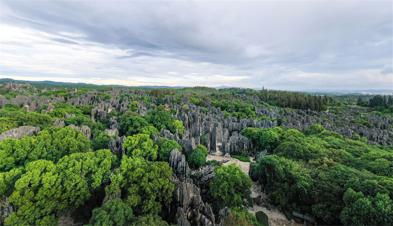 昆明石林风景区实景